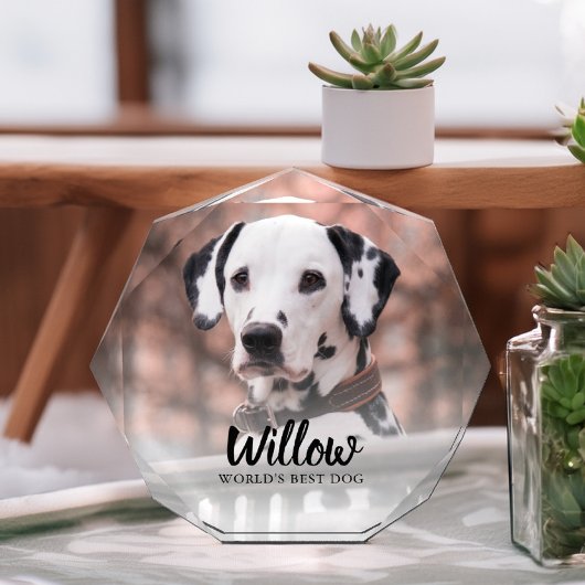 ペットの写真パーソナライズされた フォトブロック