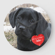 ペットの写真メモリアル – 写真の追加 – 犬の写真