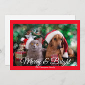 ペットの写真メリーと明るいホリデーカード シーズンカード (正面/裏面)