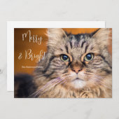 ペットの写真メリーと明るい シーズンカード (正面/裏面)