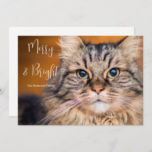 ペットの写真メリーと明るい シーズンカード (正面/裏面)