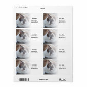 ペットの写真ラベルを追加2020 ラベル (フルシート)