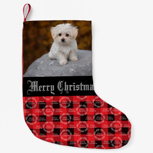ペットの写真入りクリスマス スモールクリスマスストッキング (正面)