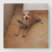 ペットの写真入りパーソナライズ時計 スクエア壁時計 (正面)