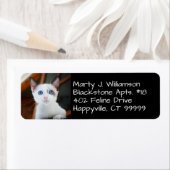 ペットの写真差出人住所ラベル ラベル (インサイチュ)