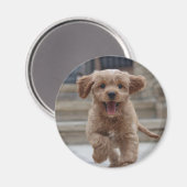 ペットの写真 |かわいい可愛い犬のアップロード マグネット (正面/裏面)