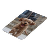 ペットの写真 |かわいい可愛い犬のアップロード マグネット (左側)