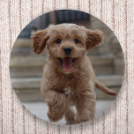 ペットの写真 |かわいい可愛い犬のアップロード 缶バッジ<br><div class="desc">写真カスタムデザイン自分のテンプレートを含むお気に入りのあなたの犬、猫、ペット、ベビー、子供、家族や友人の写真！自分のテンプレートをパーソナライズする簡単は、自分のイメージを持つ優れたデザインの1つにする。愛する人への完璧な贈り物！表示される画像はイラストレーション目的のためにのみ自分の写真に置き換えられる。プレースホルダイメージはゴージャスな赤毛のポードルの十字子犬の像である。</div>