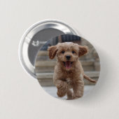 ペットの写真 |かわいい可愛い犬のアップロード 缶バッジ (正面&裏面)