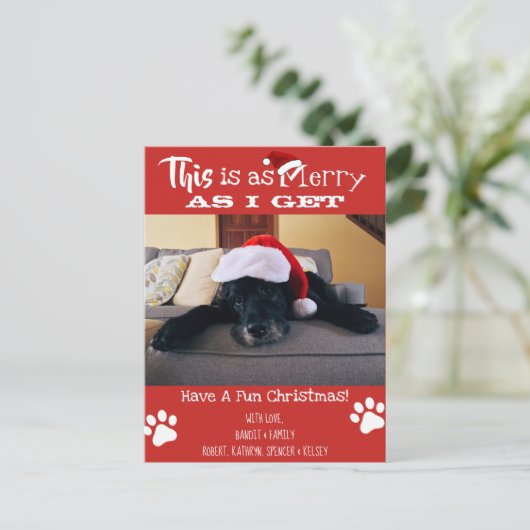 ペットの写真「これは受け取るメリー通り」の休日を追加 ポストカード (スタンド正面)