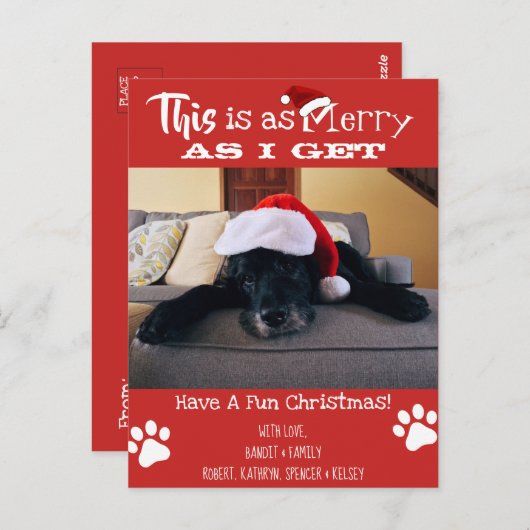 ペットの写真「これは受け取るメリー通り」の休日を追加 ポストカード (正面/裏面)