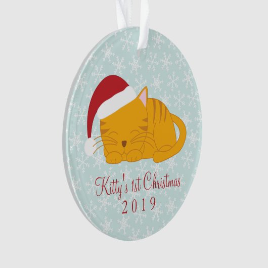 ペットの写真 – オパーソナライズされたレンジのタビー猫 オーナメント (正面)