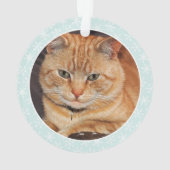ペットの写真 – オパーソナライズされたレンジのタビー猫 オーナメント (裏面)