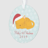 ペットの写真 – オパーソナライズされたレンジのタビー猫 オーナメント (正面)