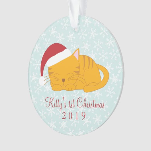 ペットの写真 – オパーソナライズされたレンジのタビー猫 オーナメント (正面)