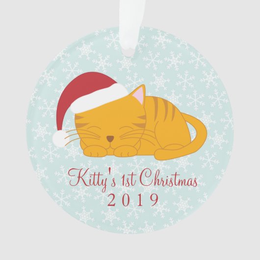 ペットの写真 – オパーソナライズされたレンジのタビー猫 オーナメント (正面)