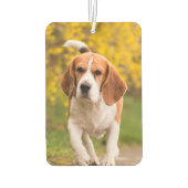 ペットの写真 カーエアーフレッシュナー (裏面)