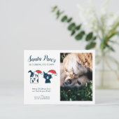 ペットの写真 |サンタポーズ |キャットドッグクリスマス シーズンポストカード (スタンド正面)