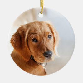 ペットの写真 セラミックオーナメント