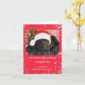 ペットの写真 パーソナライズド 犬好きのための メリークリスマス カード (黄色い花)