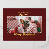 ペットの写真 メリークリスマス  箔シーズンポストカード (正面)