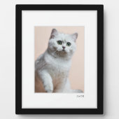 ペットの写真 | モダン ミニマル ブラック&ホワイト フレーム ペット (正面)
