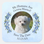 ペットの写真 人類が結婚するよ、 青い牡丹 スクエアシール (正面)