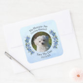 ペットの写真 人類が結婚するよ、 青い牡丹 スクエアシール (封筒)