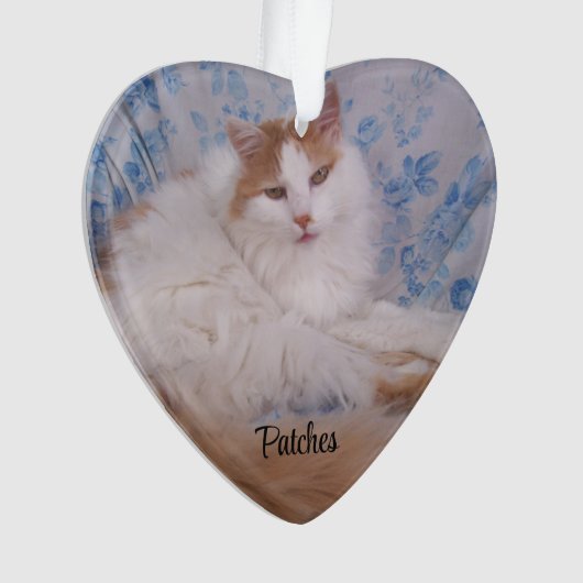 ペットの写真、引用文、青い絵柄、名前と年 オーナメント (正面)