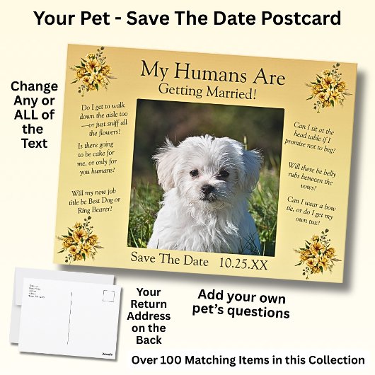 ペットの写真 – 日付の保存 ポストカード