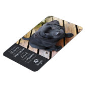 ペットの写真 – 犬の写真 – 猫の写真 – ペットの記念碑 マグネット (左側)