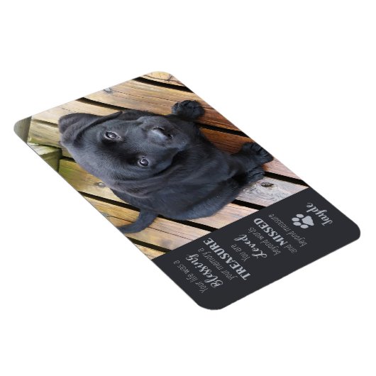 ペットの写真 – 犬の写真 – 猫の写真 – ペットの記念碑 マグネット (右側)