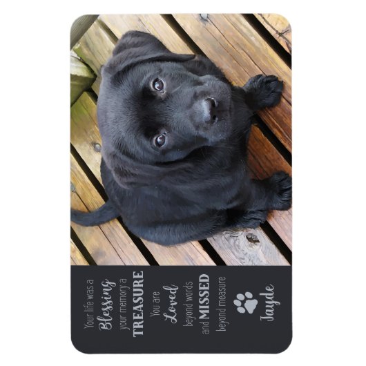 ペットの写真 – 犬の写真 – 猫の写真 – ペットの記念碑 マグネット (縦)
