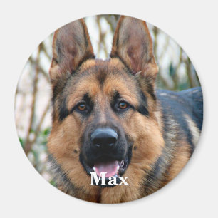 ペットの写真 – 犬 – Cat - Pet Memorial マグネット