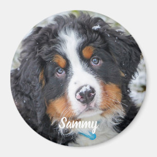ペットの写真 – 犬 – Cat - Pet Memorial マグネット