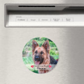 ペットの写真 – 犬 – Cat - Pet Memorial マグネット (インサイチュ (食洗機))