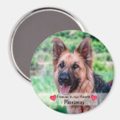 ペットの写真 – 犬 – Cat - Pet Memorial マグネット (正面/裏面)