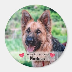 ペットの写真 – 犬 – Cat - Pet Memorial マグネット
