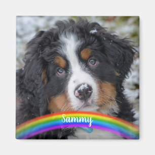 ペットの写真 – 犬 – Cat - Pet Memorial マグネット