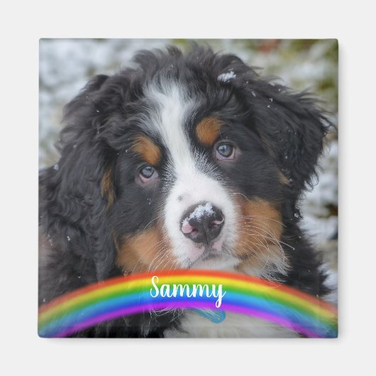 ペットの写真 – 犬 – Cat - Pet Memorial マグネット (正面)