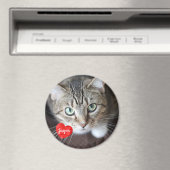 ペットの写真 – 犬 – Cat - Pet Memorial マグネット (インサイチュ (食洗機))