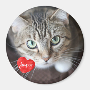 ペットの写真 – 犬 – Cat - Pet Memorial マグネット