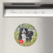 ペットの写真 – 犬 – Cat - Pet Memorial マグネット (インサイチュ (食洗機))
