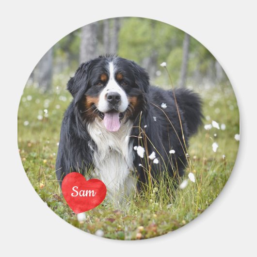 ペットの写真 – 犬 – Cat - Pet Memorial マグネット (正面)