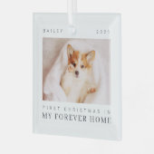 ペットの初めてのクリスマスインフォーエバーホームシックモダン ガラスオーナメント (正面左)