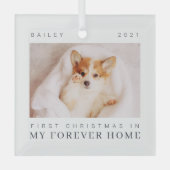 ペットの初めてのクリスマスインフォーエバーホームシックモダン ガラスオーナメント (正面)