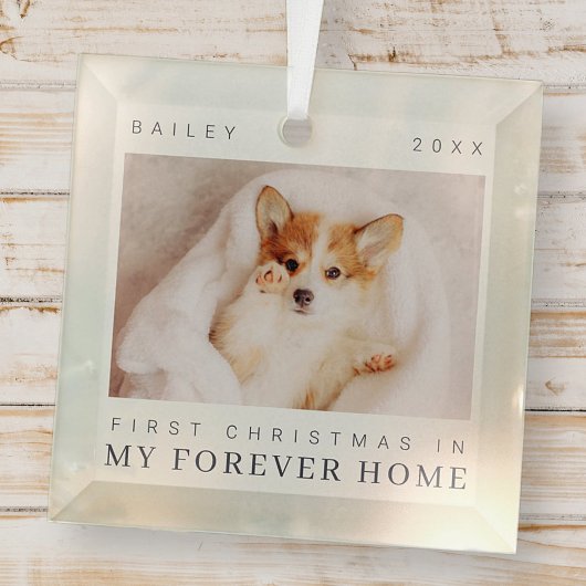 ペットの初めてのクリスマスインフォーエバーホームシックモダン ガラスオーナメント