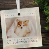 ペットの初めてのクリスマスインフォーエバーホームシックモダン ガラスオーナメント