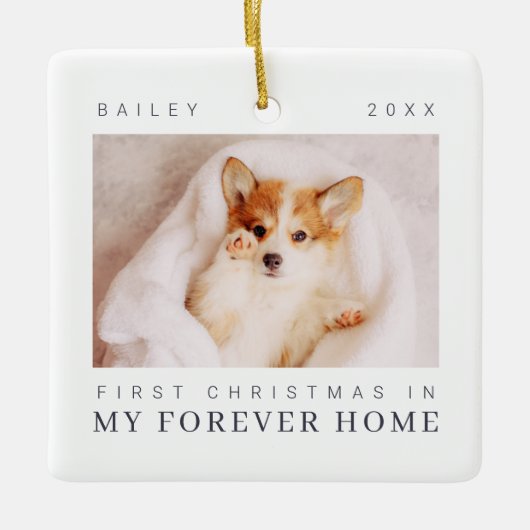 ペットの初めてのクリスマスインフォーエバーホームシックモダン セラミックオーナメント (正面)