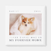 ペットの初めてのクリスマスインフォーエバーホームシックモダン マグネット (正面)